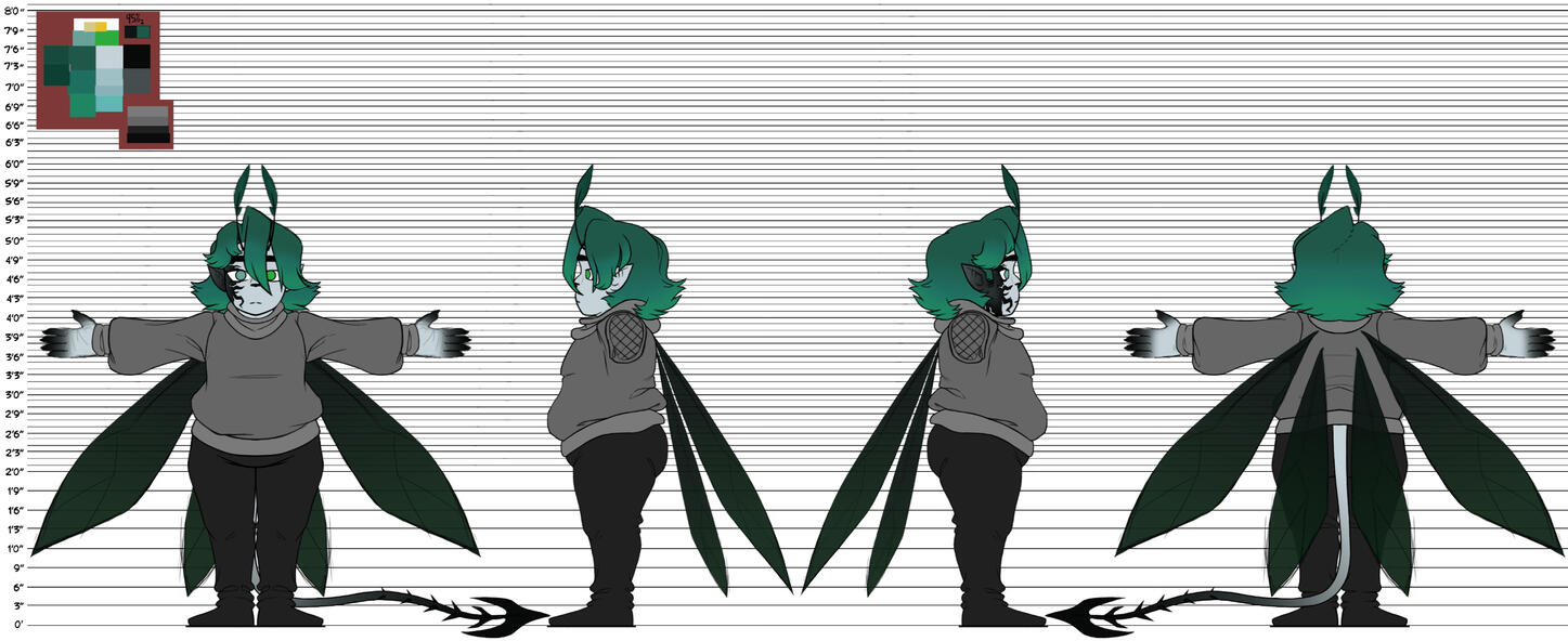 Final: Ainsel